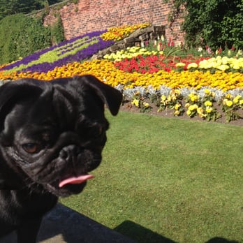 Roundhay Park Dog Friendly Roundhay Park Dog Friendly