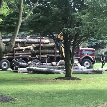 Timber Pros Tree Service Services Newport Mi Timber Pros Tree Service Services Newport Mi