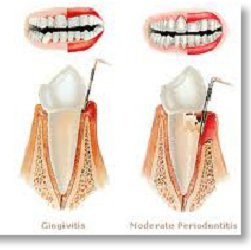 image of business Congressional Dental Care
