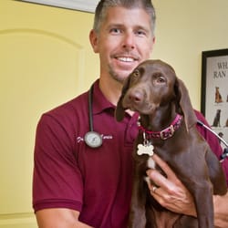 Island Animal Hospital Cocoa Beach Island Animal Hospital Cocoa Beach