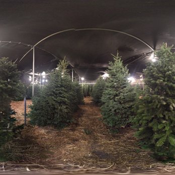 toluca lake christmas trees 14 reviews christmas trees toluca lake christmas trees 14 reviews christmas trees
