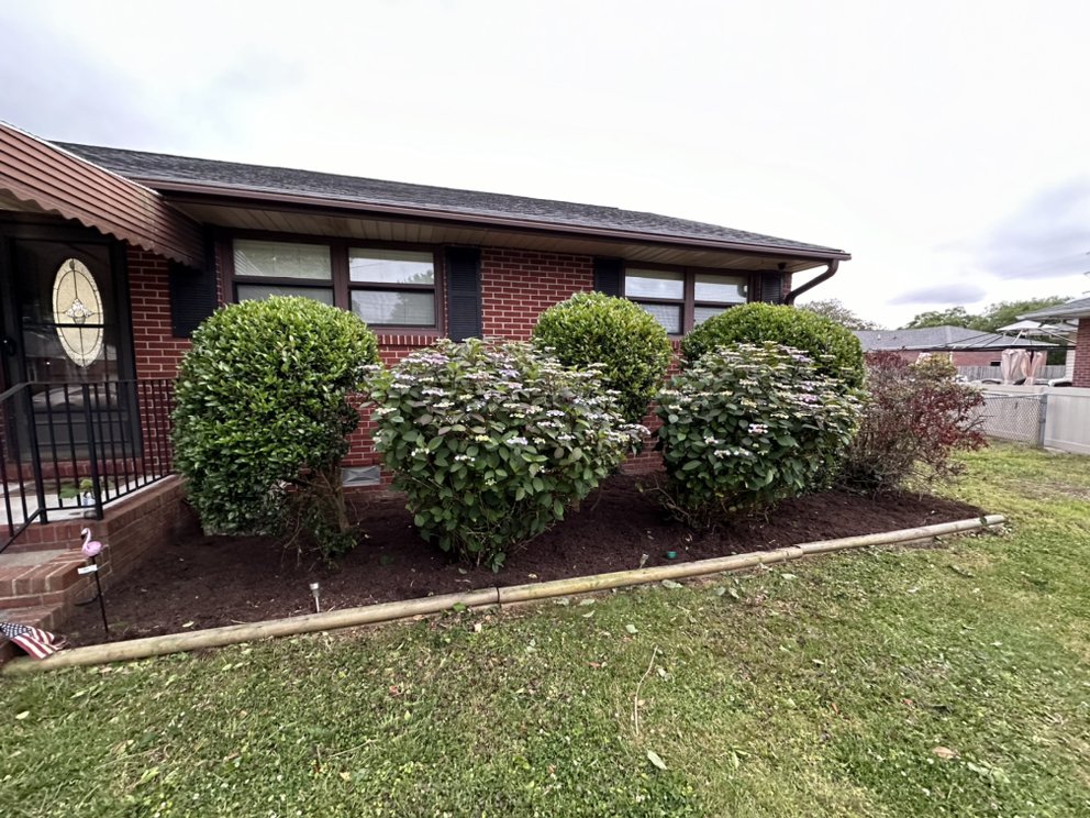 BB’s Backyard & Beyond