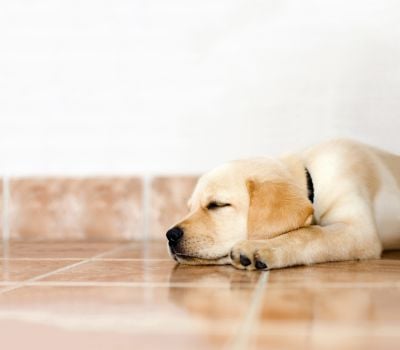 image of business Heaven