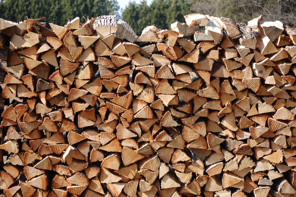 Mark's Stump Grinding