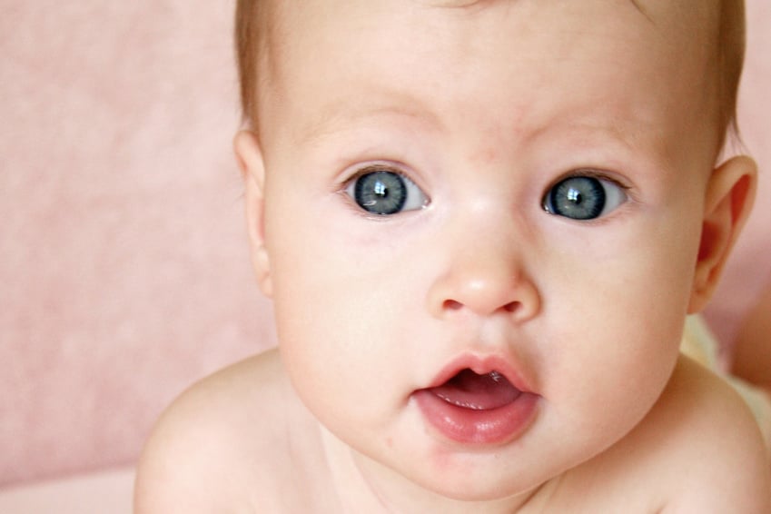 Breastfeeding Lady, LLC