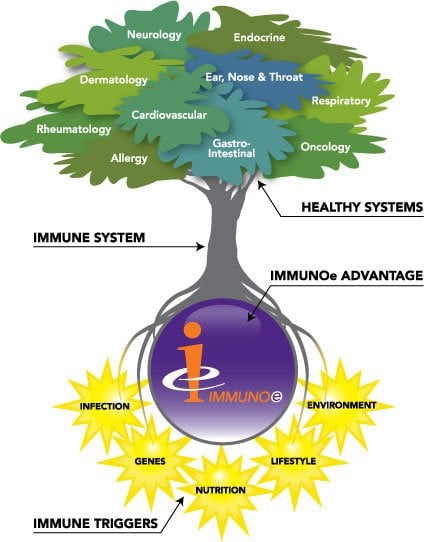 image of business IMMUNO-e Health Center