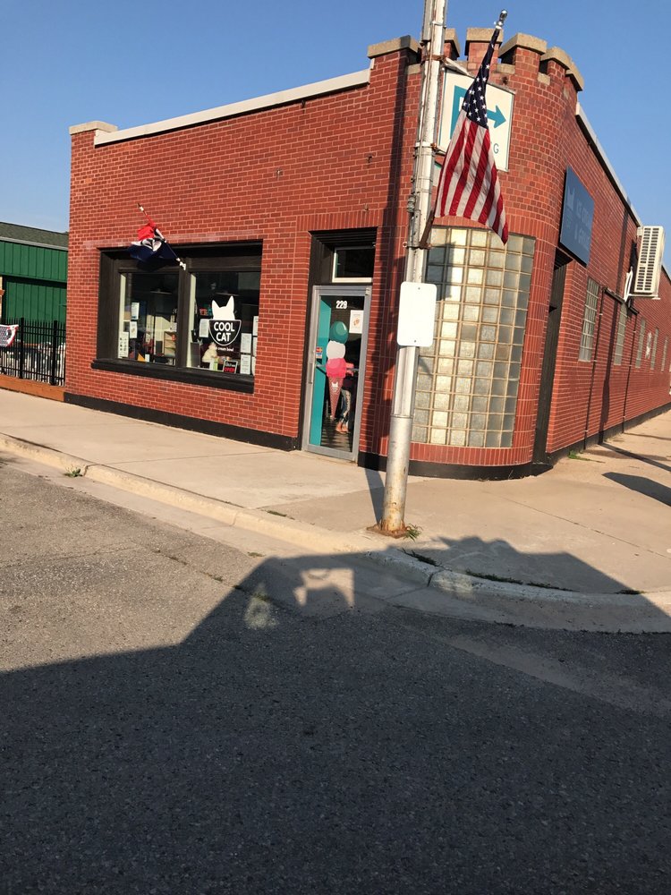 Cool Cat Ice Cream Bowl Ice Cream & Frozen Yogurt 229 S Benzie Blvd