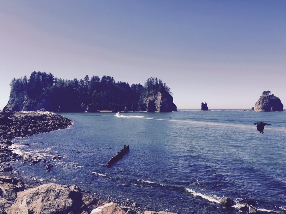 First Beach at La Push, Forks, WA Beaches Forks, WA Yelp