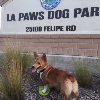 La Paws Dog Park Mission Viejo Ca La Paws Dog Park Mission Viejo Ca