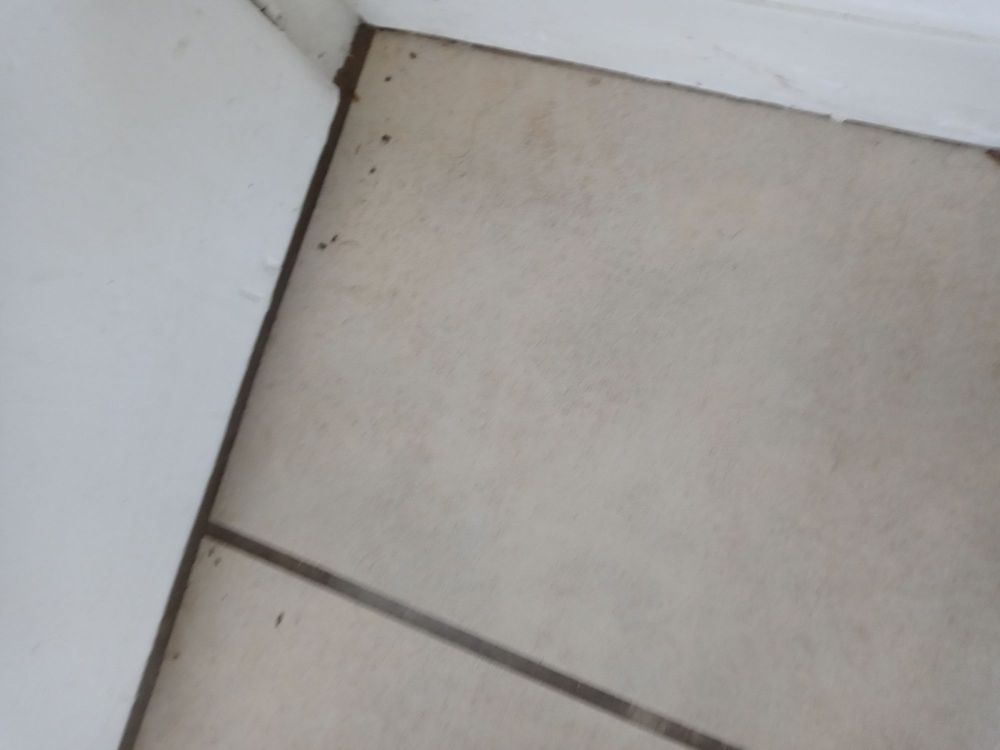 A & C Cleaning Services