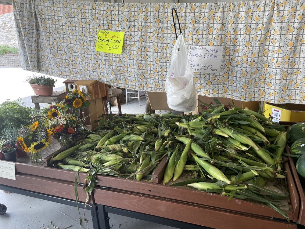 Wise Produce