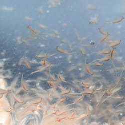 centreville aquarium 46 reviews