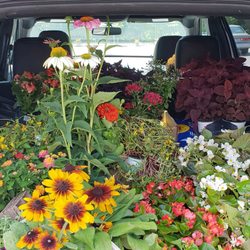 Pike Nurseries 13 Reviews Gardening 1016 Devore Photo Of Pike Nurseries Matthews Nc United States We Re About