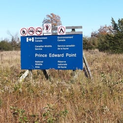prince edward point national wildlife area parks long prince edward point national wildlife area parks long