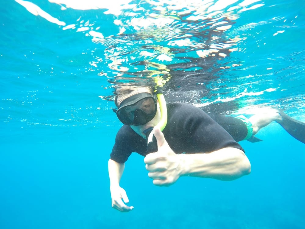 Snorkel Bob’s Kapaa 17 Photos & 123 Reviews Snorkeling 4734