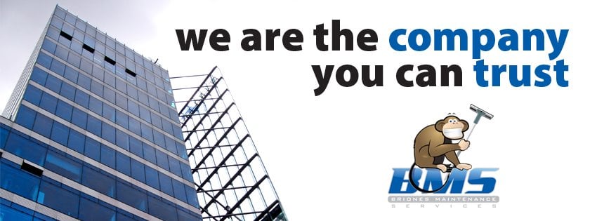 Briones Maintenance Services