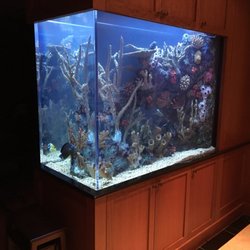 top 10 best aquarium