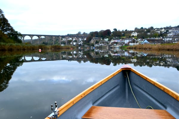 Tamar boat and canoe hire - ボートチャーター - Calstock, Cornwall ...