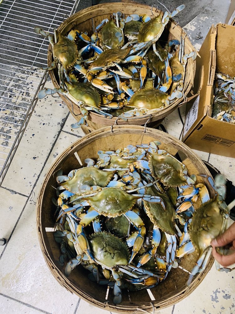 Photo of Shrimp Boat