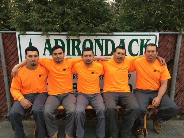 Adirondack Tree Experts