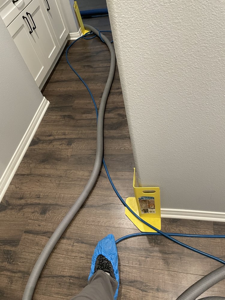 Ie Carpet Care