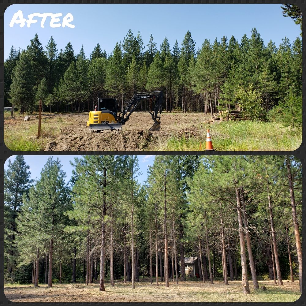 Thin Air Logging & Tree Service