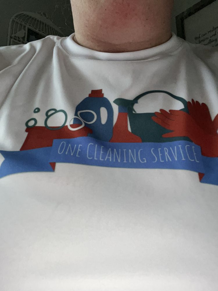 The One Cleaning Service