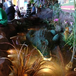 Rainforest Cafe Atlantic City Phone Number Rainforest Cafe Atlantic City Phone Number