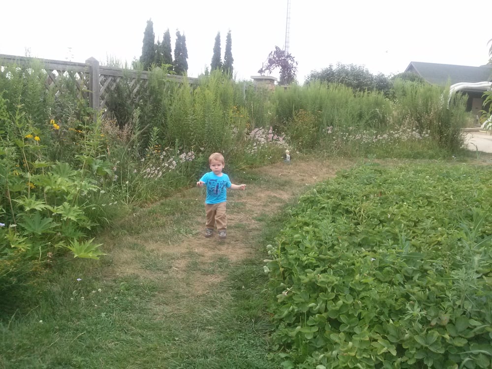 Cedar Valley Arboretum & Botanic Gardens Botanical Gardens 1927 E