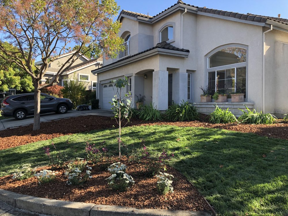 Suncrest Landscaping & Irrigation