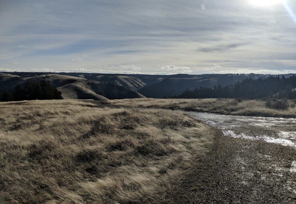 Deadman Pass Rest Area