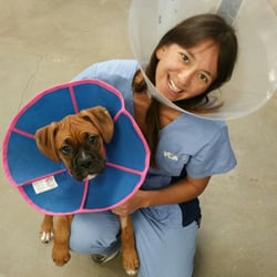 vca companion animal medical center