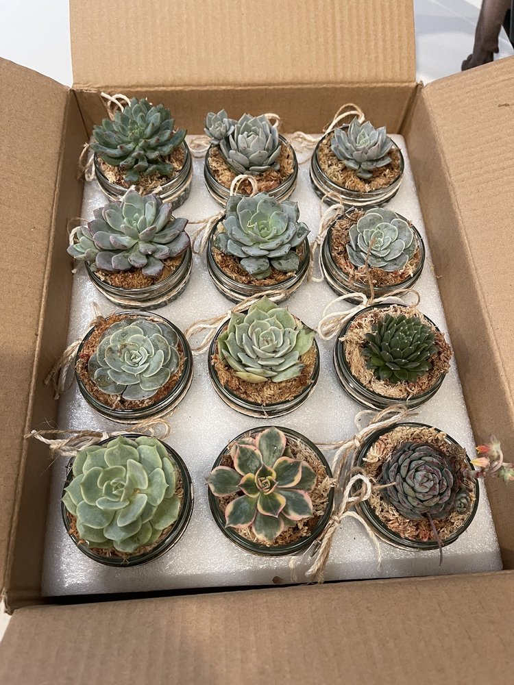 Buena Creek Nursery