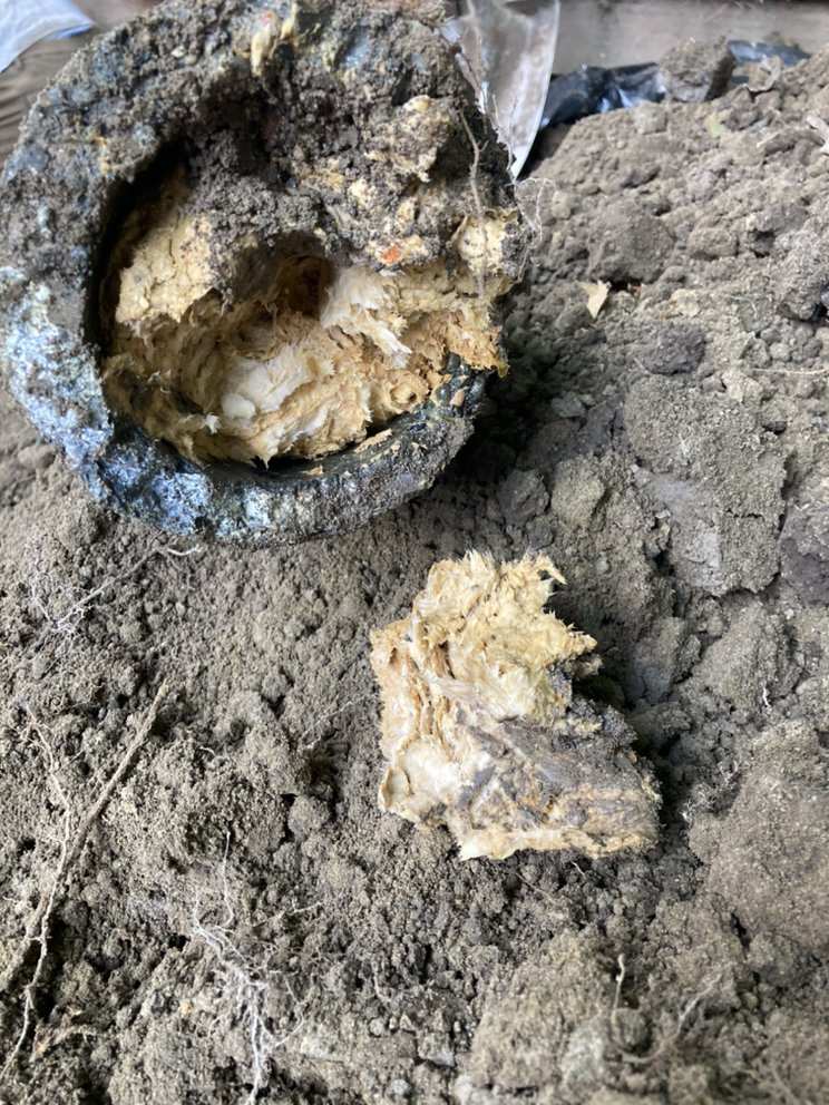 All City Sewer Repair