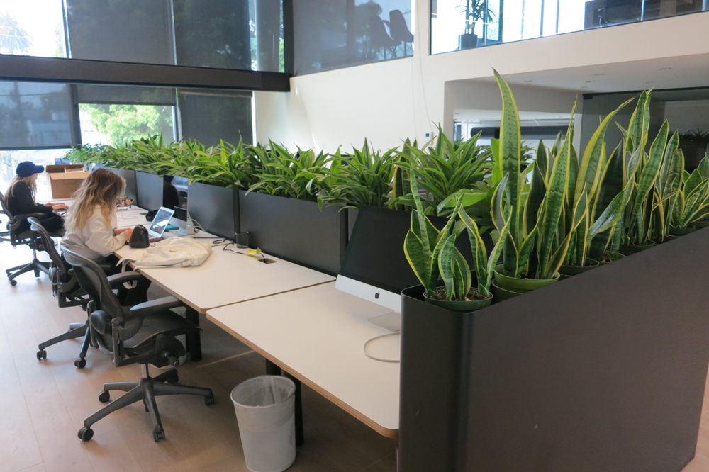 image of business Beautification thru Vegetation