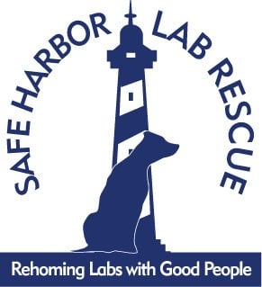 Safe Harbor Lab Rescue