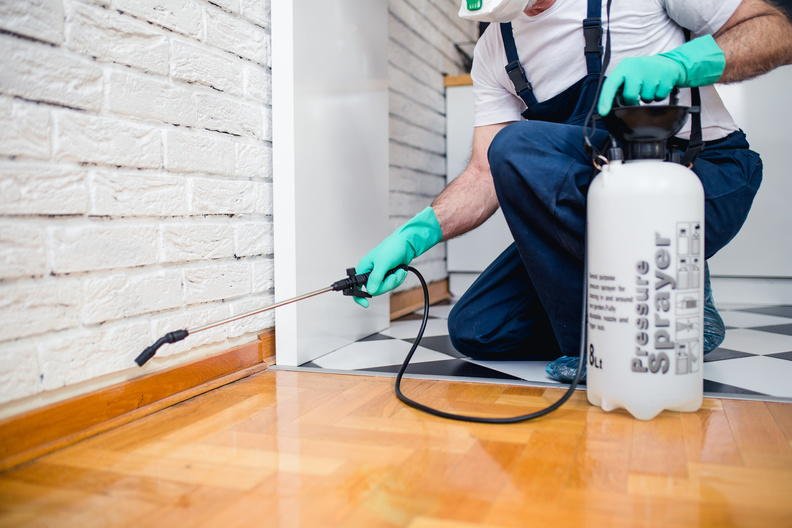 One Hour Pest Control
