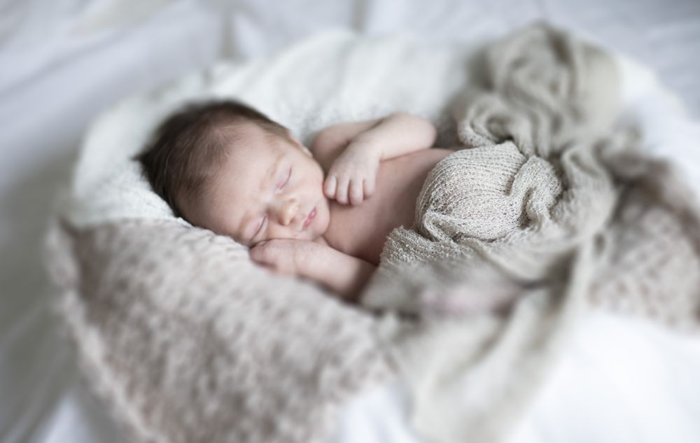 Magnolia Photographs