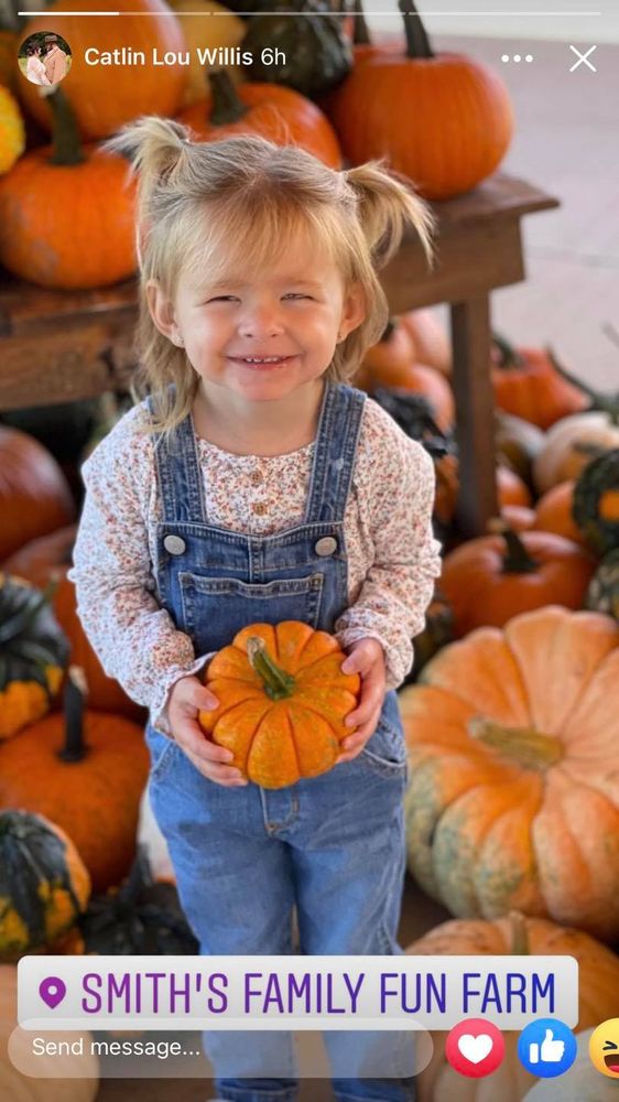 Smith's Family Fun Farm