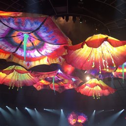 Related hotels... Feb 17, · Answer 1 of I would love to see Le Reve in May. The best discount I could find was $ each plus taxes plus fees. Is there anything out there better than that?