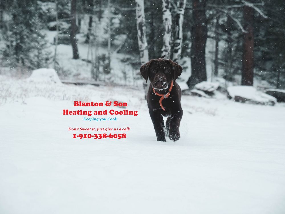 image of business Blanton & Son Heating and Cooling