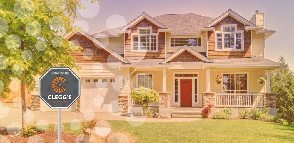 Clegg’s Termite & Pest Control - Raleigh