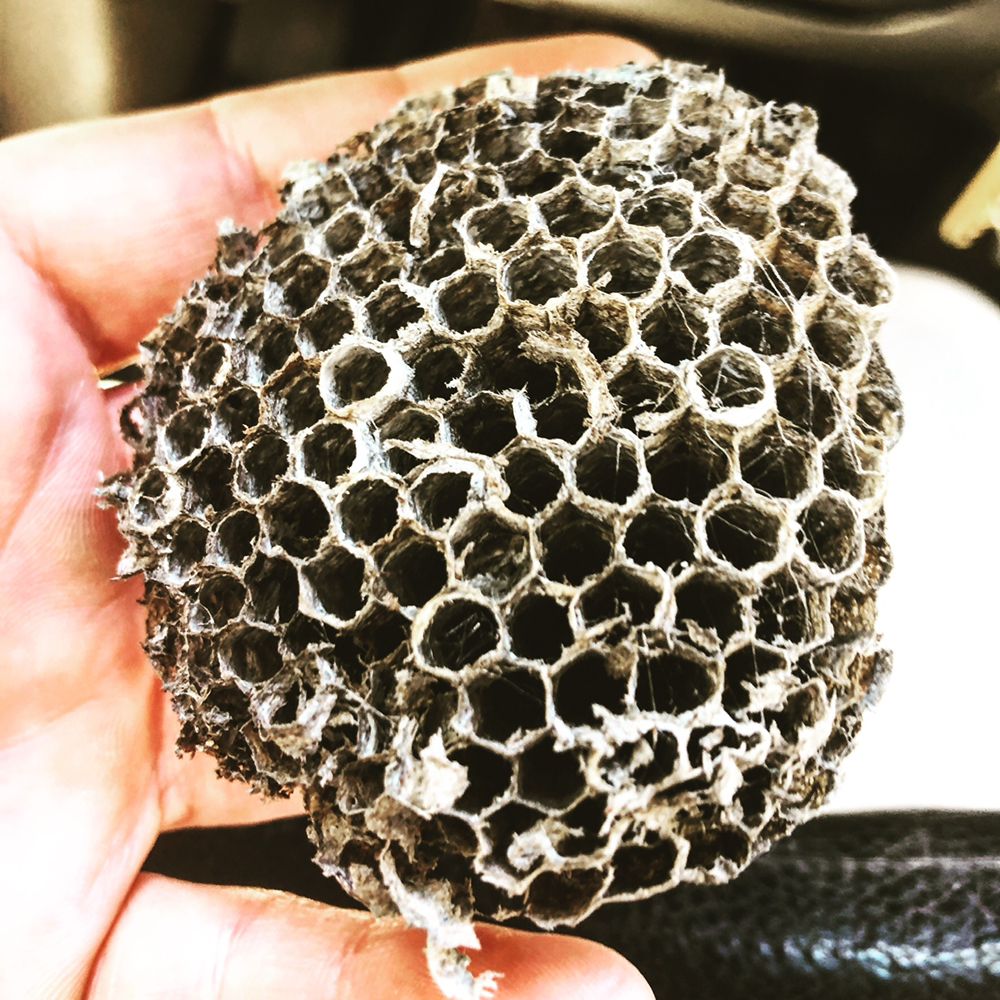XterminatriX