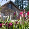 Starling Lane Winery winery