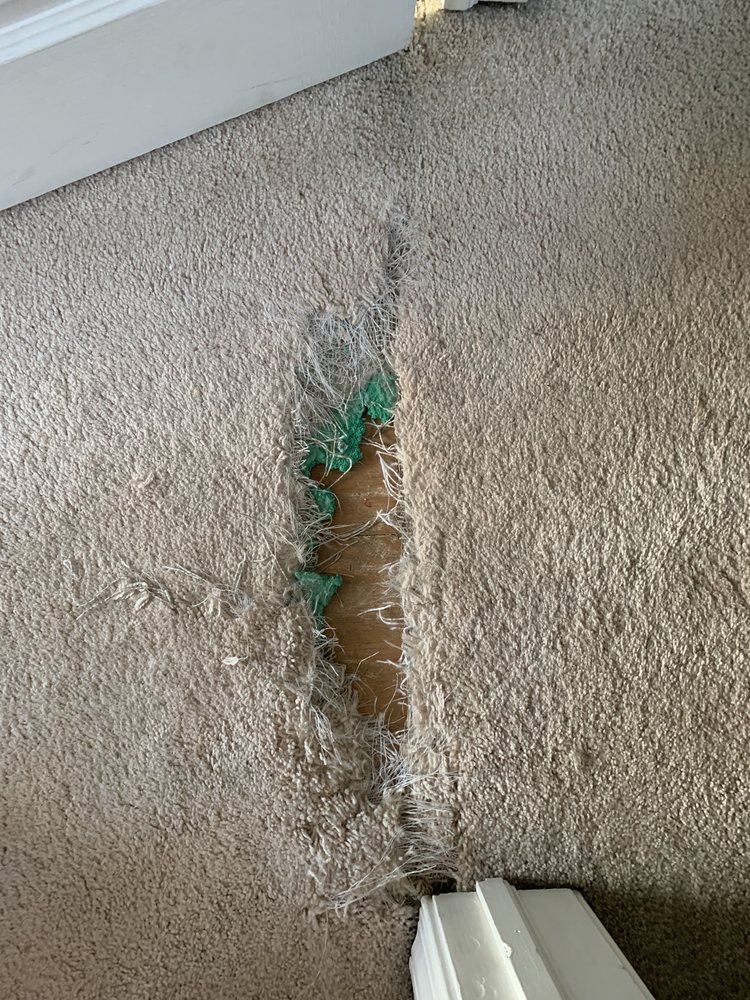 Five Star Carpet Service