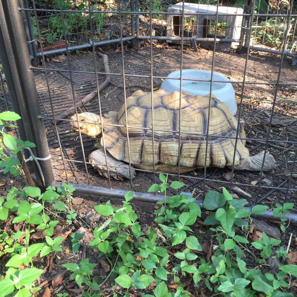 Austin Wildlife Rescue - 11 Photos & 31 Reviews - Animal Shelters