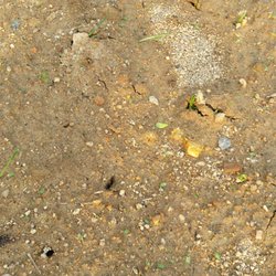 Best Free Mulch In Richmond Va Last Updated December 2018 Yelp 1 Pete Rose