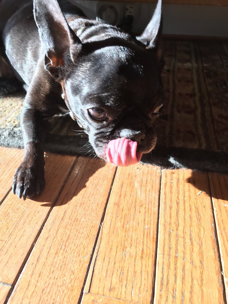 Bark! 17 Photos & 30 Reviews Pet Stores 1643 Rockville Pike