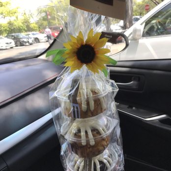 Nothing Bundt Cakes Coral Springs Nothing Bundt Cakes Coral Springs