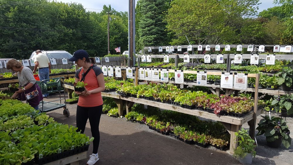 Meadow View Farms 120 Photos & 14 Reviews Farms 120 College Hwy